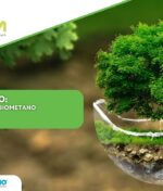 Ecomondo: Mele, serve coraggio sul metano e idrogeno.